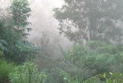 Bellaralandscaping-irrigation-4.jpg; ?>